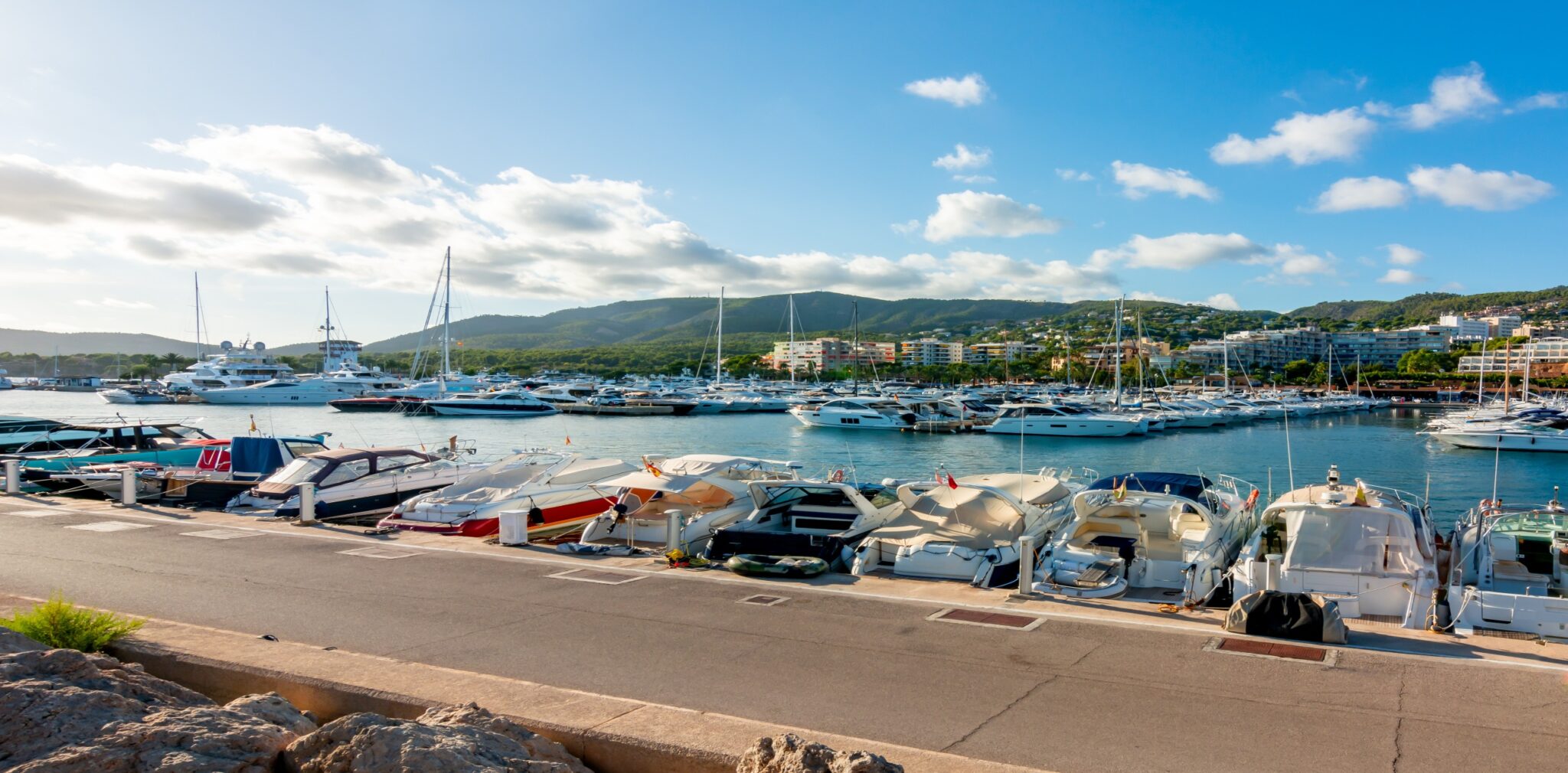port of mallorca