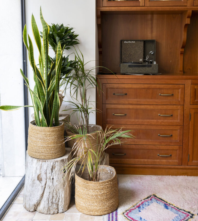 Samaritana_15 mayo 2025-154