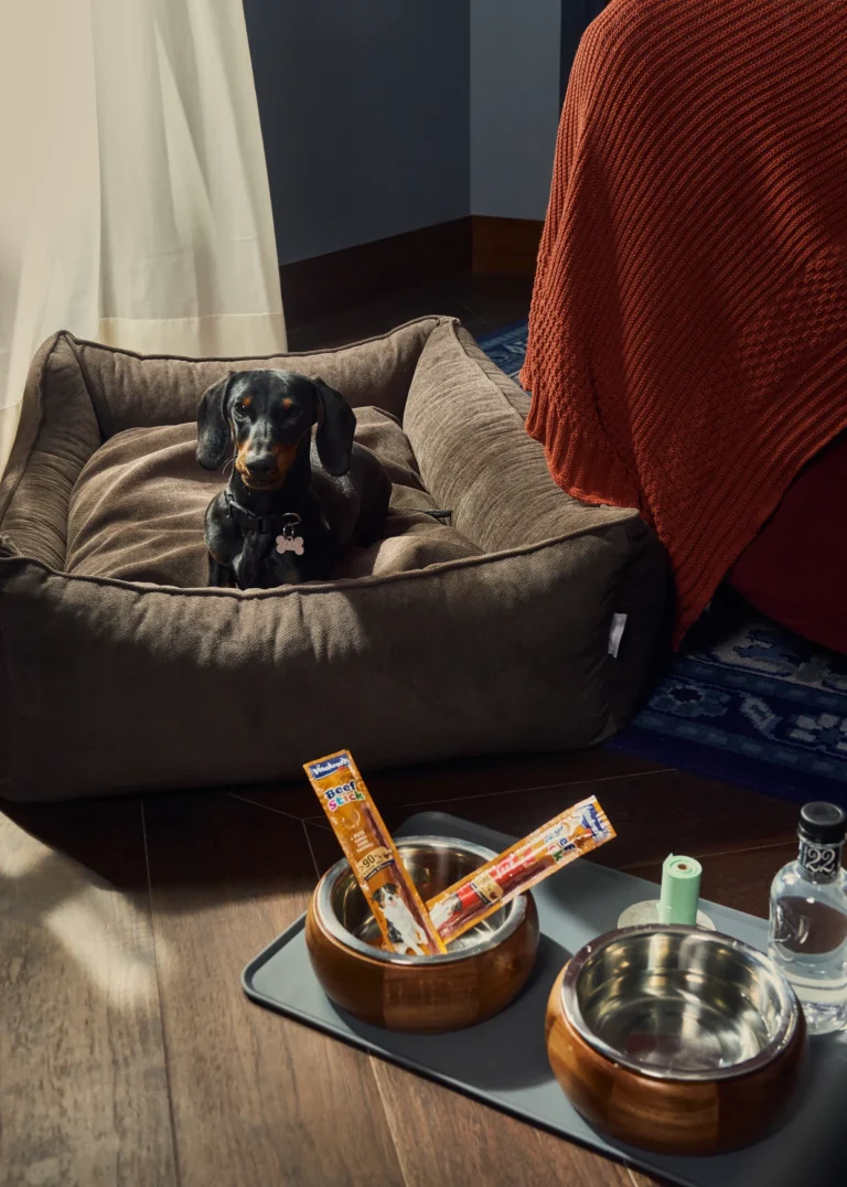 pet_friendly_amenities_3_1-scaled